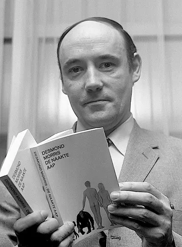 Photo of Desmond Morris