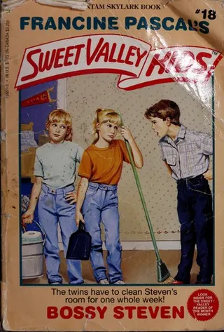Cover of Bossy Steven