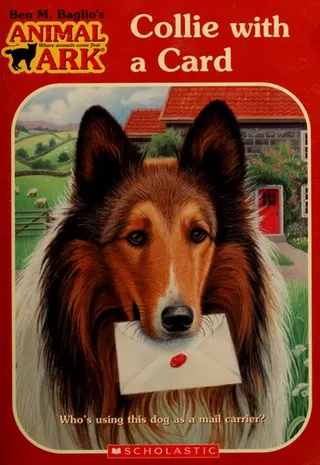 Cover of Collie with a card