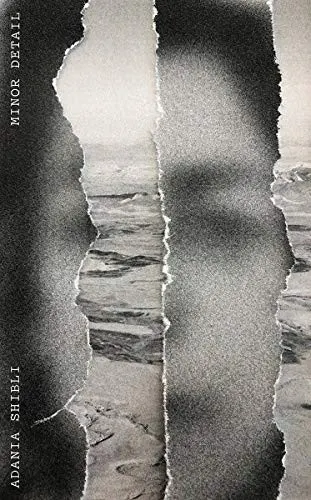 Cover of Minor Detail