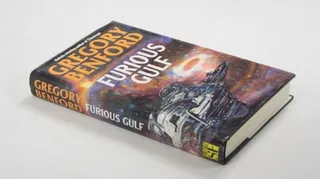Cover of Furious gulf