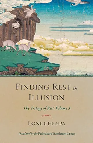 Cover of Finding Rest in Illusion