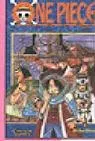 Cover of One Piece 19