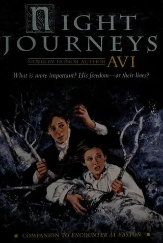 Cover of Night Journeys