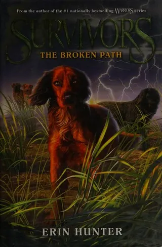 Cover of The Broken Path