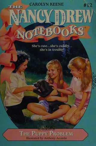 Cover of The Puppy Problem