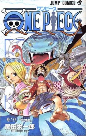 Cover of One Piece 29