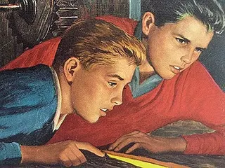 Cover of The Hardy boys