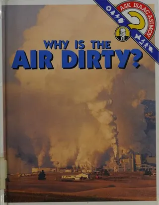 Cover of Why is the air dirty?