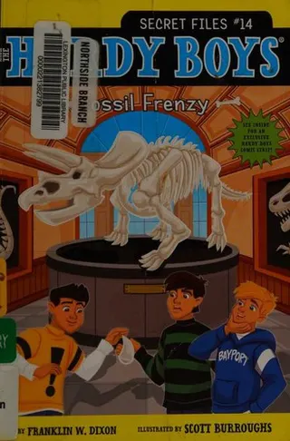 The Hardy Boys Secret Files series cover