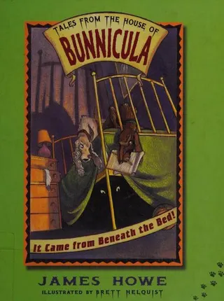 Cover of It Came from Beneath the Bed!