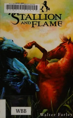 Cover of Black Stallion and Flame