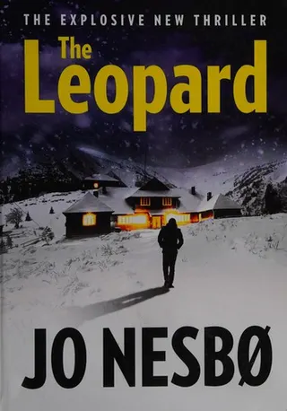 Cover of Panserhjerte
