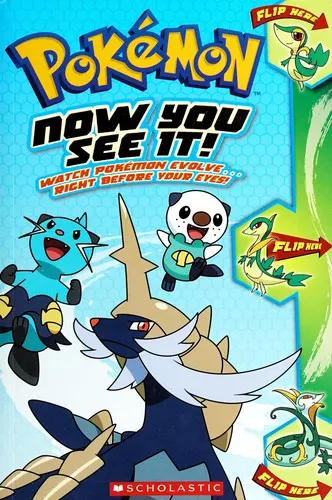 Cover of Now you see it!
