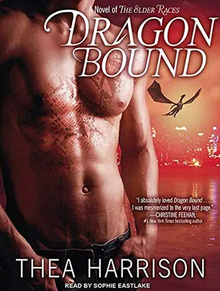 Cover of Dragon Bound