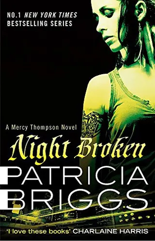 Cover of Night Broken