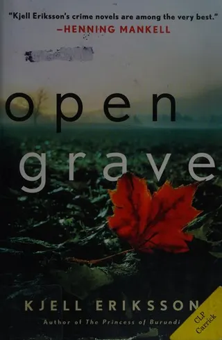 Cover of Open Grave