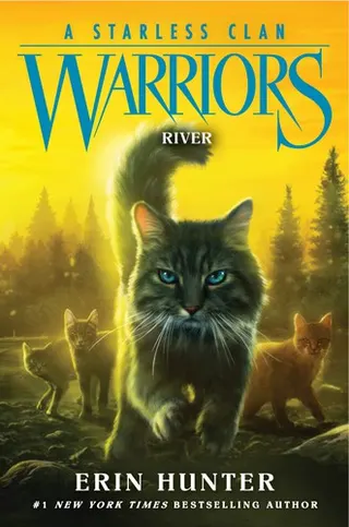Cover of River