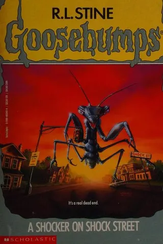Cover of A Shocker on Shock Street
