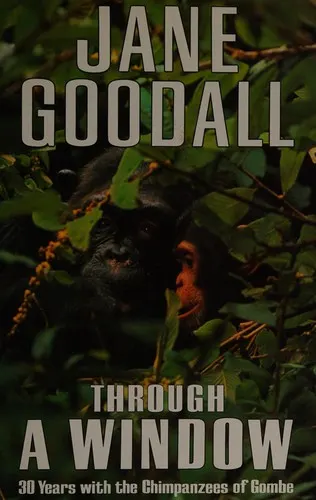 Cover of Through a Window