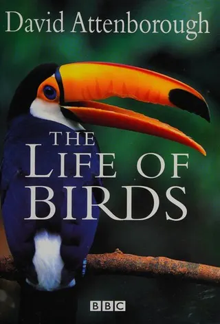 Cover of The life of birds