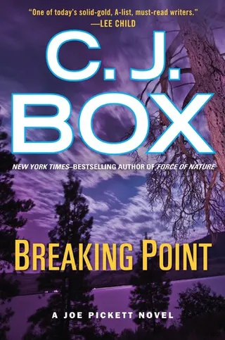 Cover of Breaking point
