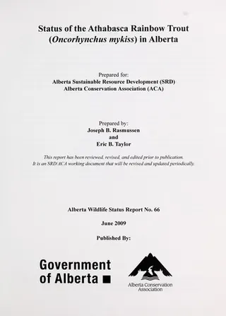 Cover of Status of the Athabasca Rainbow Trout (Oncorhynchus mykiss) in Alberta