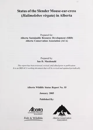 Cover of Status of the Slender Mouse-ear-cress (Halimolobos virgata) in Alberta