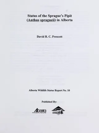 Cover of Status of the Sprague's pipit (Anthus spragueii) in Alberta