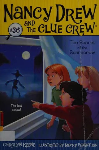 Cover of The secret of the scarecrow