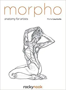 Cover of Morpho : Anatomy for Artists
