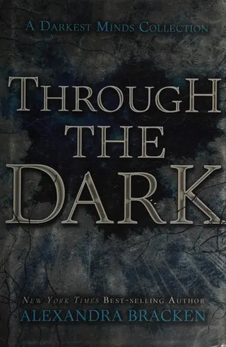 Cover of Through the dark