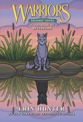 Cover of A Shadow in RiverClan