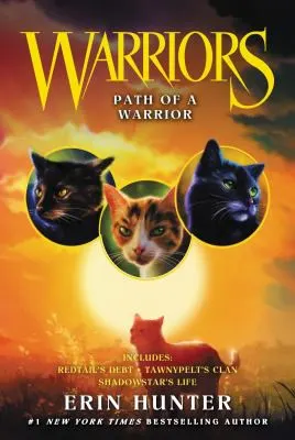 Cover of Path of a Warrior