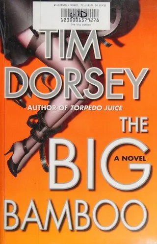 Cover of The big bamboo