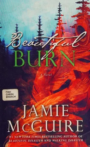 Cover of Beautiful burn
