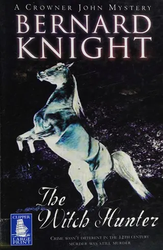 Cover of The witch hunter