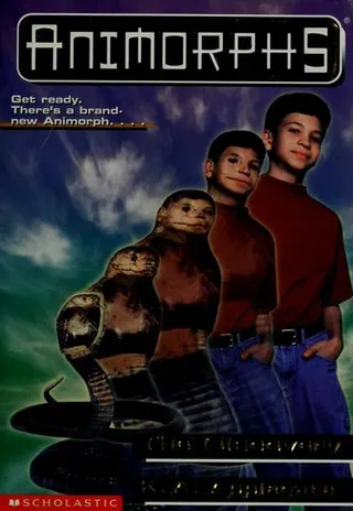 Cover of The Discovery