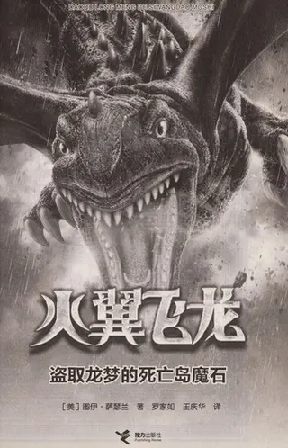 Cover of The Dark Secret