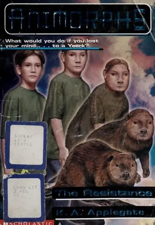 Cover of The Resistance