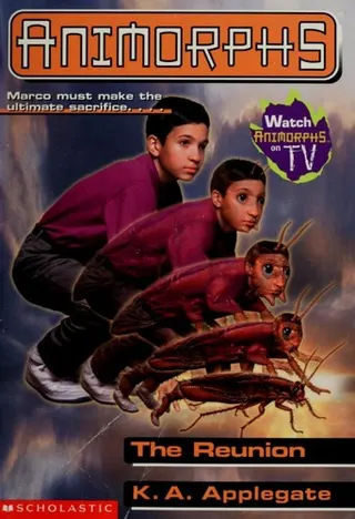 Cover of The Reunion