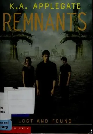 Cover of Lost and Found