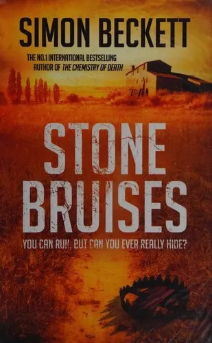 Cover of Stone Bruises