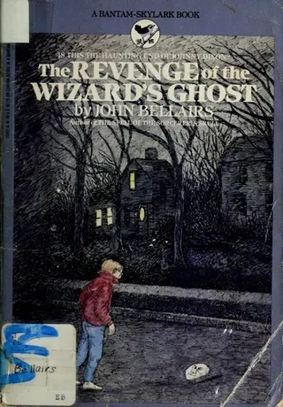 Cover of The Revenge of the Wizard's Ghost