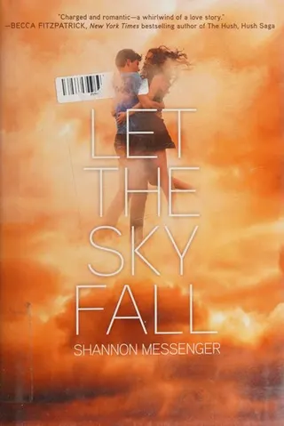 Cover of Let the Sky Fall