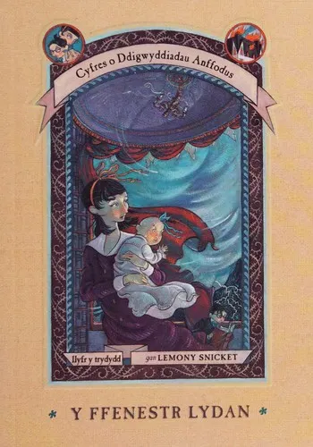 Cover of Y Ffenestr Lydan