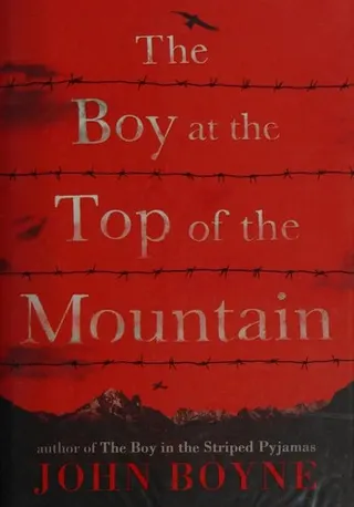 Cover of The Boy at the Top of the Mountain