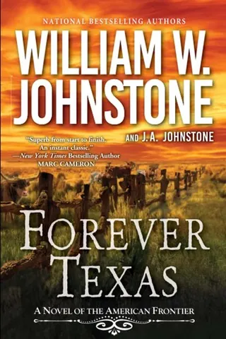 A Forever Texas Novel series cover