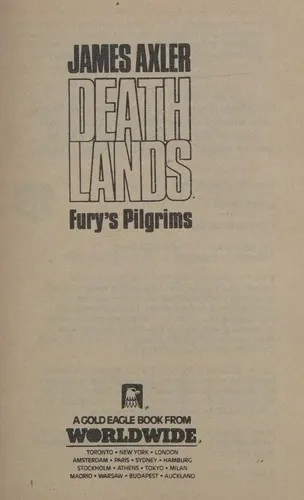 Cover of Fury's Pilgrims