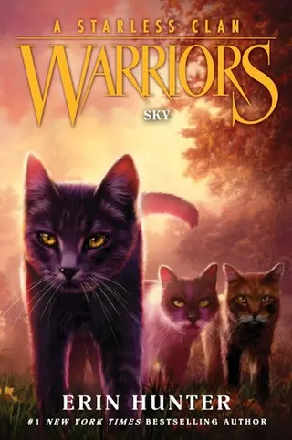 Cover of Sky
